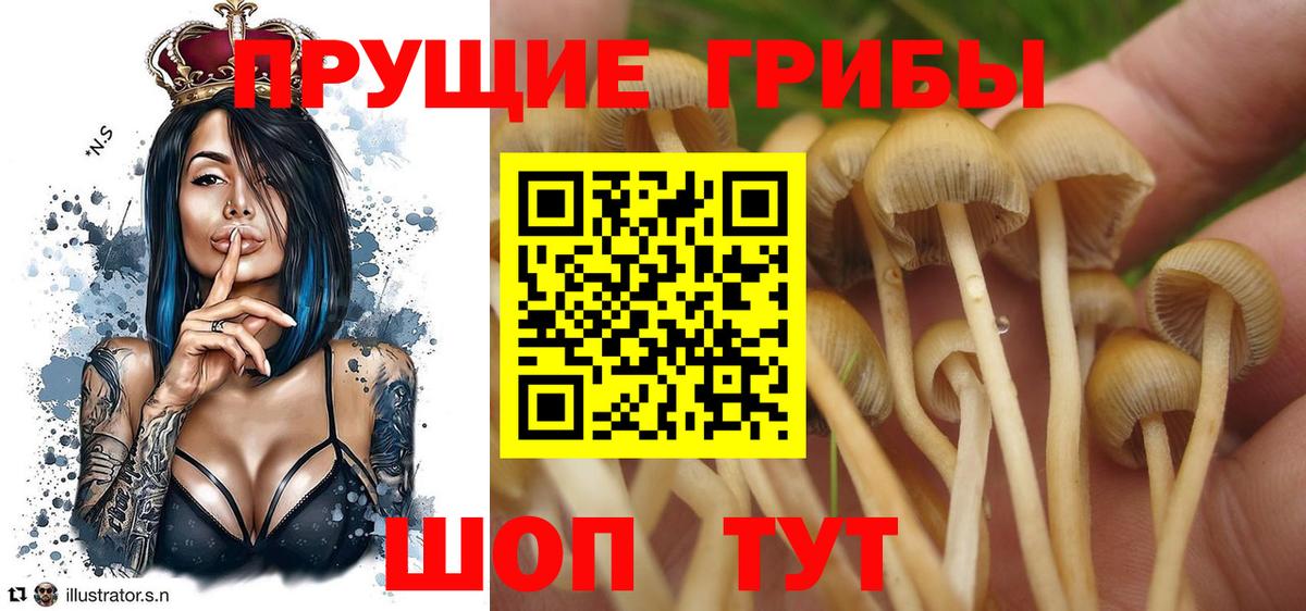 Псилоцибиновые грибы Magic Shrooms  Галлюциногенные грибы Cubensis  Вход с VPN  где купить наркоту  Мирный 